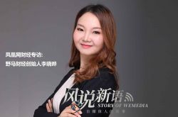 6分钟科普!丽江公司都有些什么_哔哩哔哩-3